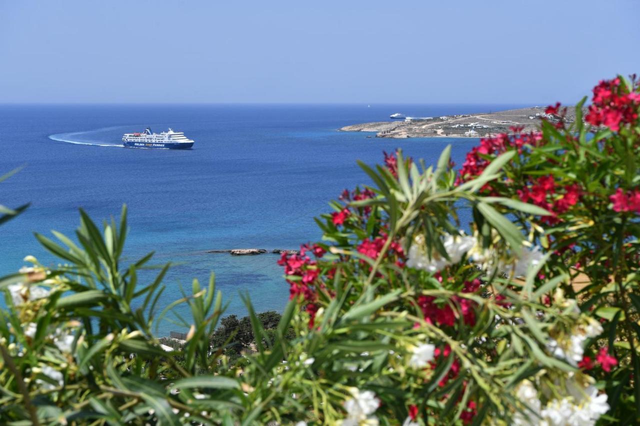 Anemos Villa Páros Dış mekan fotoğraf